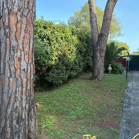 Pisolo Casal Palocco